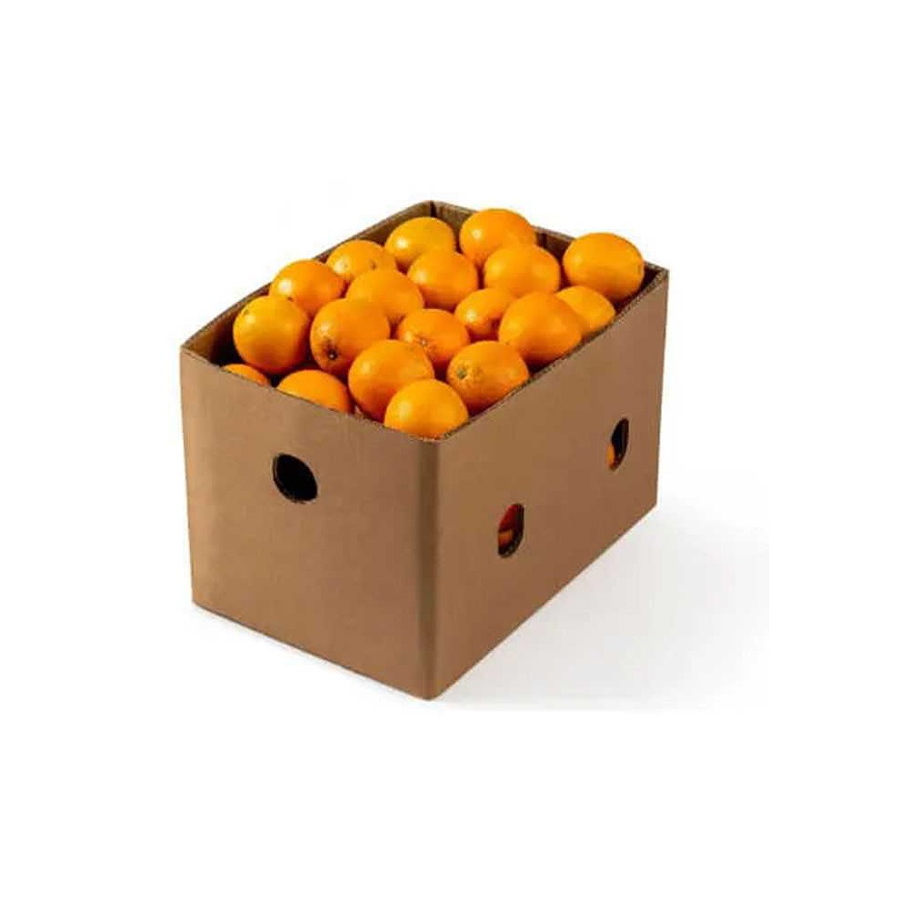 Valencia Oranges Box – Bulk Juicing Oranges