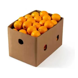 Valencia Oranges Box – Bulk Juicing Oranges