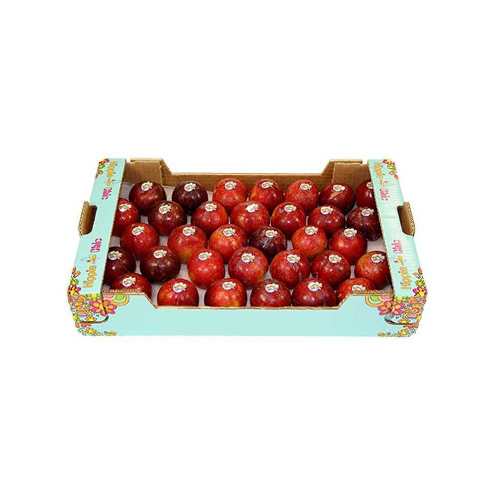 Italian Red Plums Box – Bulk Stone Fruit