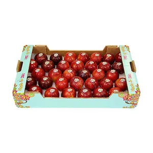 Italian Red Plums Box – Bulk Stone Fruit