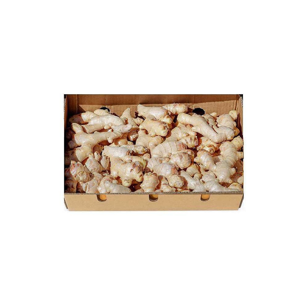Fresh Chinese Ginger 3kg – Bulk Pack