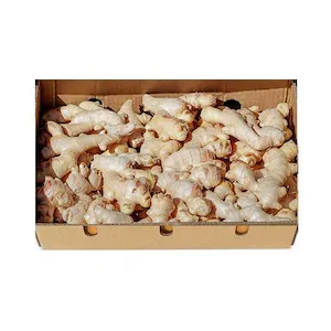 Fresh Chinese Ginger 3kg – Bulk Pack