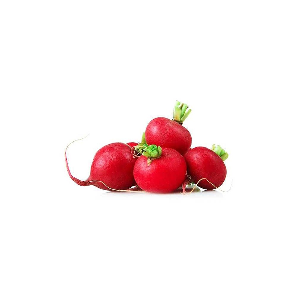 Red Radish – Fresh & Crunchy