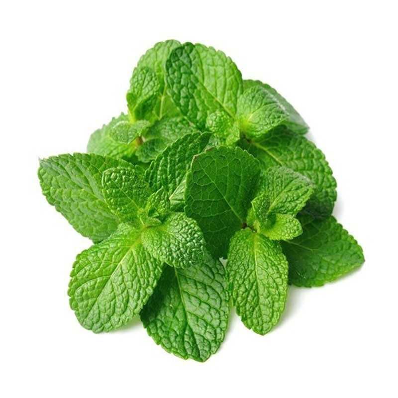 Fresh Mint Leaves 100g – Daily Use Herb